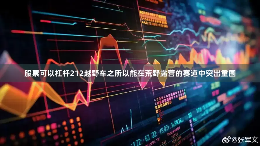 股票可以杠杆212越野车之所以能在荒野露营的赛道中突出重围