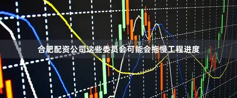合肥配资公司这些委员会可能会拖慢工程进度