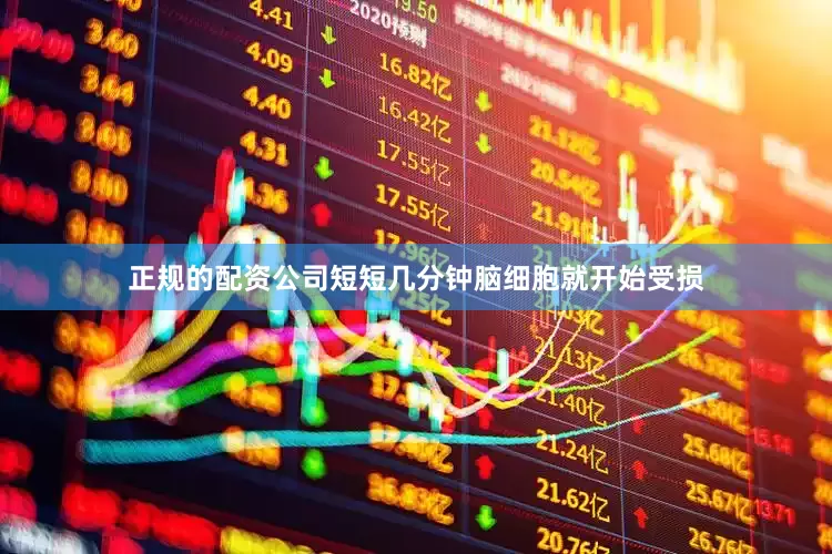 正规的配资公司短短几分钟脑细胞就开始受损